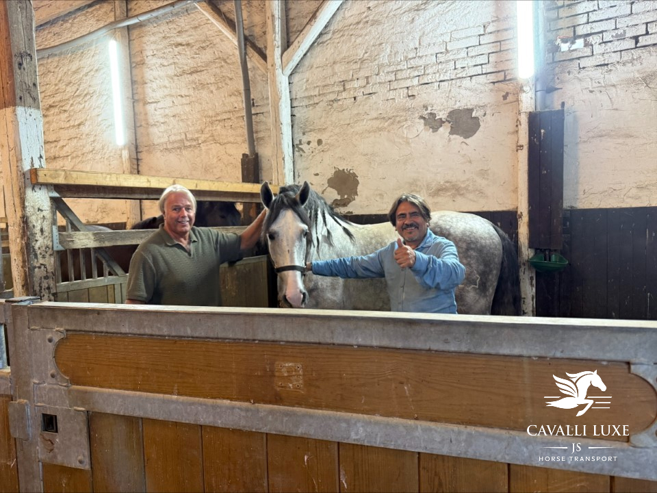 Entrega de caballo en establo, Jhonny y amigo